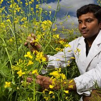 Biodiversity student at UWA Biodiversity student at UWA picking flowers